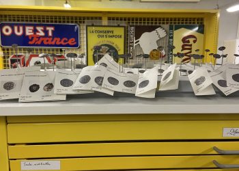 Visite des réserves de l’Écomusée de la Bintinais !