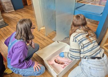 Dans les coulisses du montage de l’exposition des MAGEMI 17