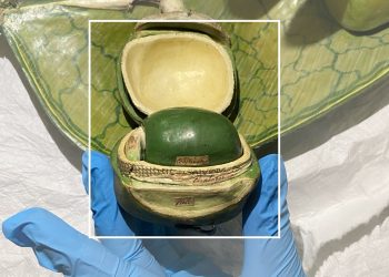 Soutenez l&rsquo;exposition!